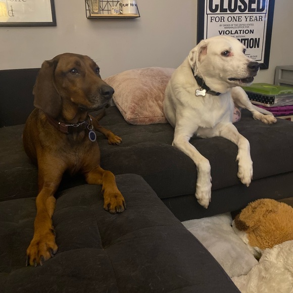 Meet your Posher, Emily - Picture 1 of 1